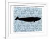 Paisley Whale 3-Kimberly Allen-Framed Art Print