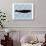 Paisley Whale 3-Kimberly Allen-Art Print displayed on a wall