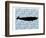 Paisley Whale 3-Kimberly Allen-Framed Art Print