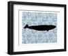 Paisley Whale 3-Kimberly Allen-Framed Art Print