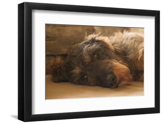 Photographic Print, , large