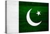 Pakistan Flag Design with Wood Patterning - Flags of the World Series-Philippe Hugonnard-Stretched Canvas