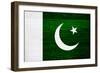 Pakistan Flag Design with Wood Patterning - Flags of the World Series-Philippe Hugonnard-Framed Premium Giclee Print