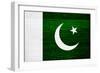 Pakistan Flag Design with Wood Patterning - Flags of the World Series-Philippe Hugonnard-Framed Premium Giclee Print