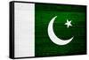 Pakistan Flag Design with Wood Patterning - Flags of the World Series-Philippe Hugonnard-Framed Stretched Canvas