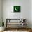 Pakistan Flag Design with Wood Patterning - Flags of the World Series-Philippe Hugonnard-Art Print displayed on a wall