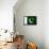 Pakistan Flag Design with Wood Patterning - Flags of the World Series-Philippe Hugonnard-Framed Stretched Canvas displayed on a wall