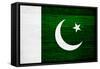 Pakistan Flag Design with Wood Patterning - Flags of the World Series-Philippe Hugonnard-Framed Stretched Canvas