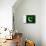 Pakistan Flag Design with Wood Patterning - Flags of the World Series-Philippe Hugonnard-Stretched Canvas displayed on a wall
