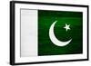 Pakistan Flag Design with Wood Patterning - Flags of the World Series-Philippe Hugonnard-Framed Art Print