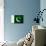 Pakistan Flag Design with Wood Patterning - Flags of the World Series-Philippe Hugonnard-Art Print displayed on a wall