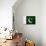 Pakistan Flag Design with Wood Patterning - Flags of the World Series-Philippe Hugonnard-Art Print displayed on a wall