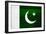 Pakistan Flag Design with Wood Patterning - Flags of the World Series-Philippe Hugonnard-Framed Art Print