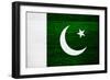 Pakistan Flag Design with Wood Patterning - Flags of the World Series-Philippe Hugonnard-Framed Art Print