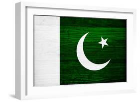 Pakistan Flag Design with Wood Patterning - Flags of the World Series-Philippe Hugonnard-Framed Art Print