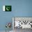 Pakistan Flag Design with Wood Patterning - Flags of the World Series-Philippe Hugonnard-Mounted Art Print displayed on a wall