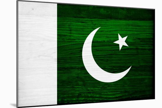 Pakistan Flag Design with Wood Patterning - Flags of the World Series-Philippe Hugonnard-Mounted Art Print