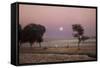 Pakistan Landscape-Charles Bowman-Framed Stretched Canvas