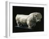 Pakistan, Mohenjo-Daro, Terracotta Bull Figurine-null-Framed Giclee Print