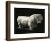 Pakistan, Mohenjo-Daro, Terracotta Bull Figurine-null-Framed Giclee Print