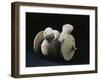 Pakistan, Mohenjo-Daro, Terracotta Toy Shaped as a Goat with Wheels-null-Framed Giclee Print