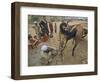 Pakistan Youth, Holds a Horse's Hoof While a Man Prepares to Place a New Shoe-null-Framed Photographic Print