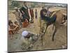 Pakistan Youth, Holds a Horse's Hoof While a Man Prepares to Place a New Shoe-null-Mounted Photographic Print