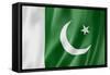 Pakistani Flag-daboost-Framed Stretched Canvas