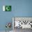 Pakistani Flag-daboost-Stretched Canvas displayed on a wall