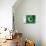 Pakistani Flag-daboost-Stretched Canvas displayed on a wall