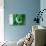 Pakistani Flag-daboost-Art Print displayed on a wall