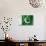 Pakistani Flag-daboost-Art Print displayed on a wall