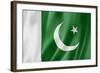 Pakistani Flag-daboost-Framed Art Print