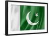 Pakistani Flag-daboost-Framed Art Print