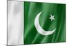Pakistani Flag-daboost-Mounted Art Print