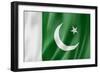 Pakistani Flag-daboost-Framed Premium Giclee Print