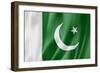 Pakistani Flag-daboost-Framed Art Print