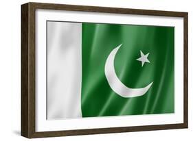 Pakistani Flag-daboost-Framed Art Print