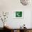 Pakistani Flag-daboost-Framed Art Print displayed on a wall