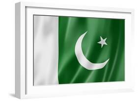 Pakistani Flag-daboost-Framed Art Print