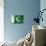 Pakistani Flag-daboost-Mounted Art Print displayed on a wall