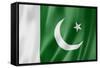 Pakistani Flag-daboost-Framed Stretched Canvas