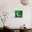 Pakistani Flag-daboost-Stretched Canvas displayed on a wall