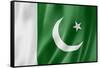 Pakistani Flag-daboost-Framed Stretched Canvas