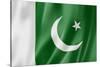 Pakistani Flag-daboost-Stretched Canvas