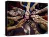 Pakistani Girls Show Their Hands Painted with Henna Ahead of the Muslim Festival of Eid-Al-Fitr-Khalid Tanveer-Stretched Canvas