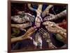 Pakistani Girls Show Their Hands Painted with Henna Ahead of the Muslim Festival of Eid-Al-Fitr-Khalid Tanveer-Framed Photographic Print