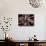 Pakistani Girls Show Their Hands Painted with Henna Ahead of the Muslim Festival of Eid-Al-Fitr-Khalid Tanveer-Photographic Print displayed on a wall