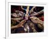 Pakistani Girls Show Their Hands Painted with Henna Ahead of the Muslim Festival of Eid-Al-Fitr-Khalid Tanveer-Framed Photographic Print