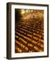 Pakistani Muslims Perform a Prayer Called "Tarawih"-null-Framed Photographic Print